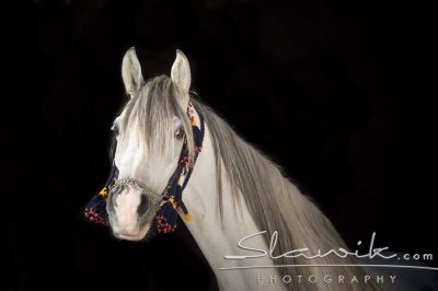 Araber_Sabrina_1088.JPG